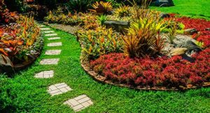 Picture of fall colored landscaping with green grass and a small stone path.